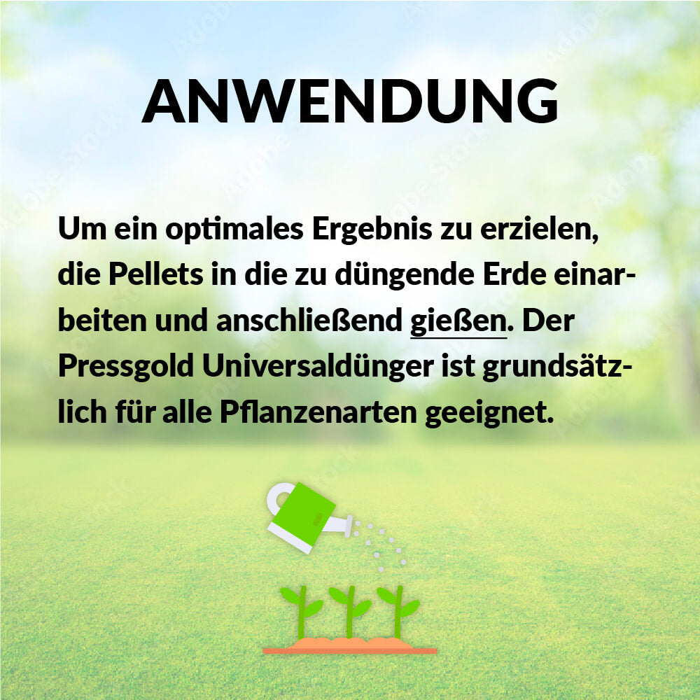 Pressgold Rasendünger | 20kg - joes.shop